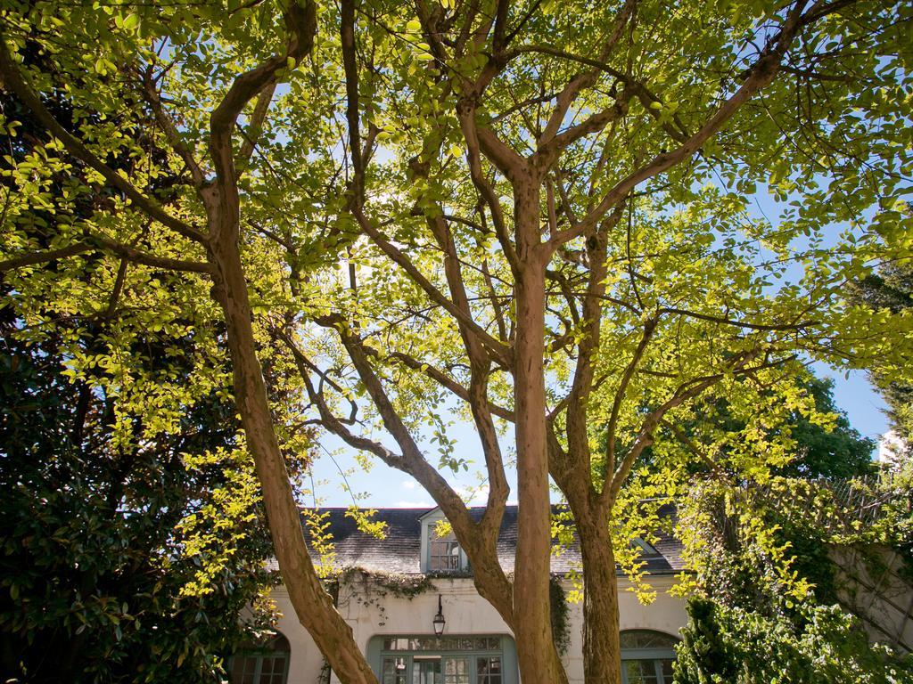 La Maison Jules 2*